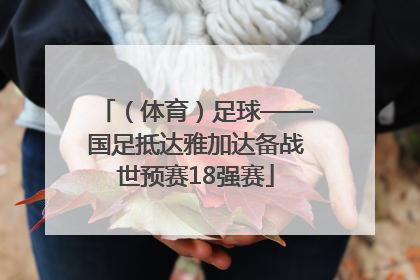 （体育）足球——国足抵达雅加达备战世预赛18强赛